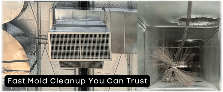Air Duct Mold Removal in Chicago