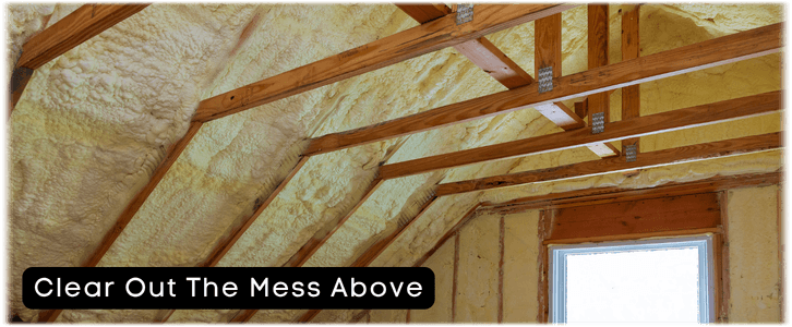 Attic Cleaning Chicago