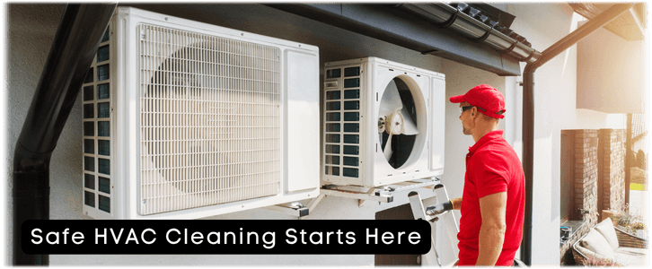 HVAC Mold Removal Chicago